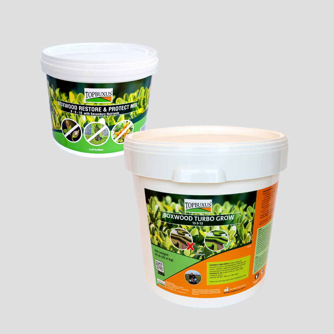 VIP Large Bundle US