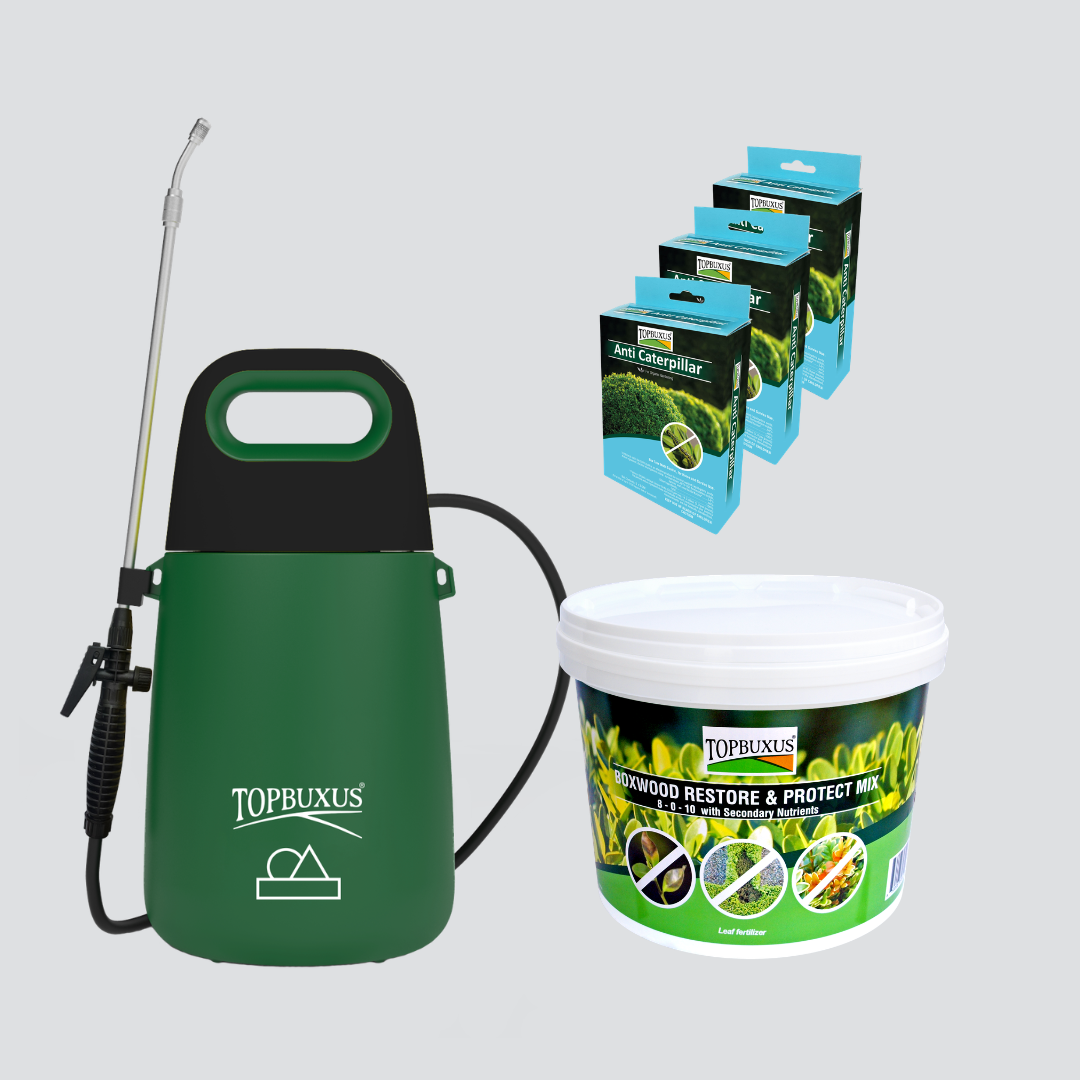 Boxwood Recovery Kit