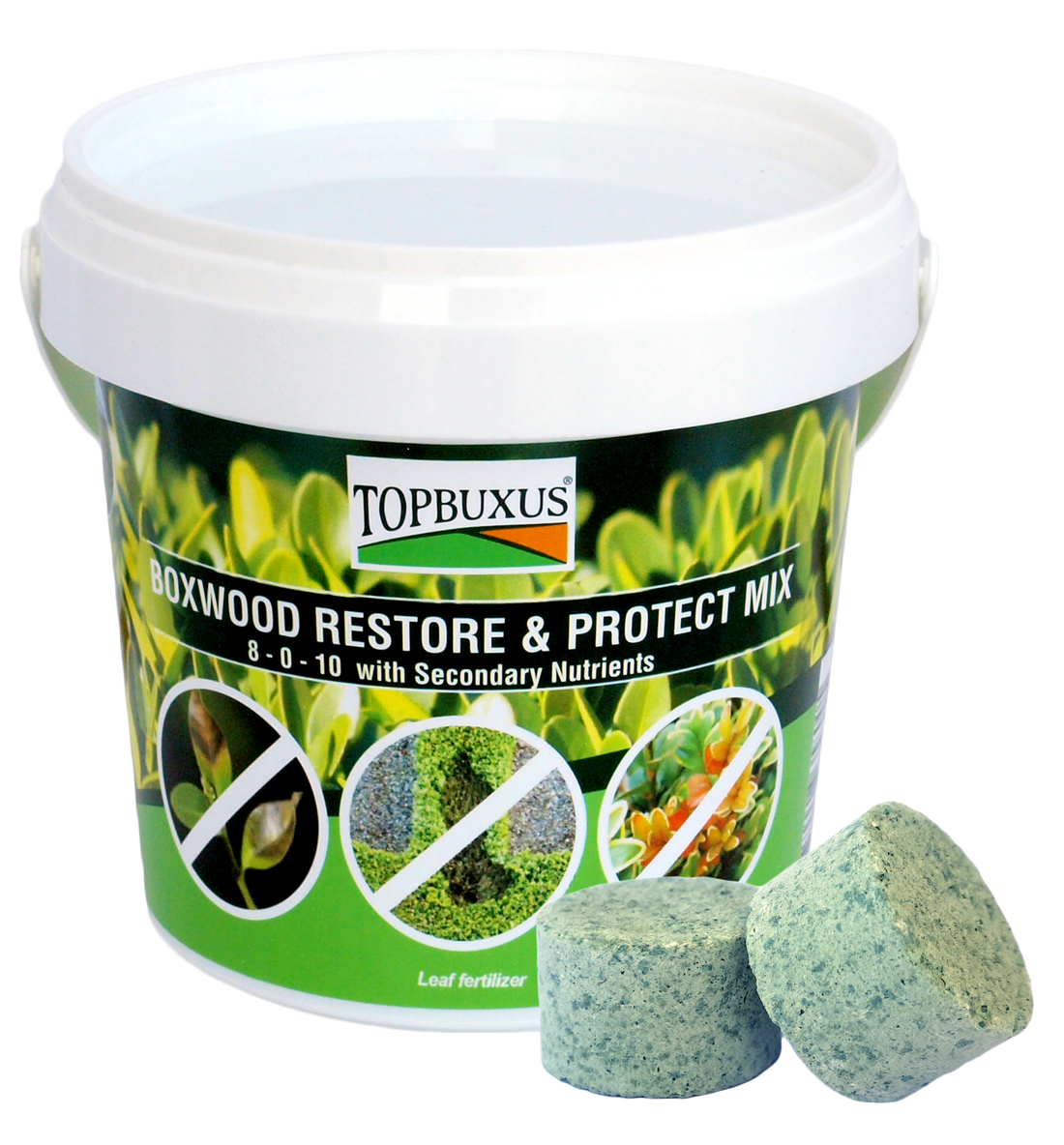 TOPBUXUS RESTORE &amp; PROTECT 10 Applications