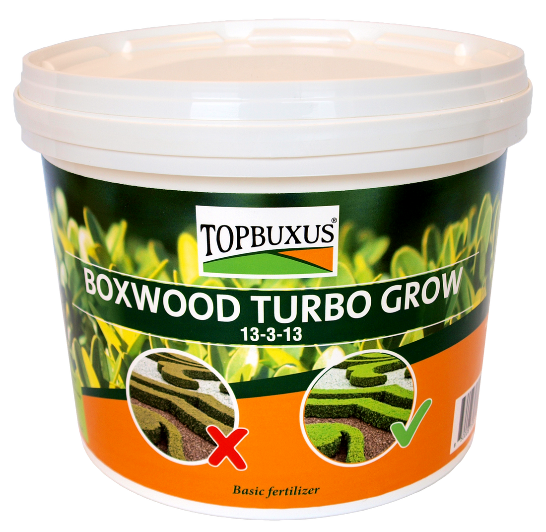 TOPBUXUS BOXWOOD TURBO GROW 10lbs