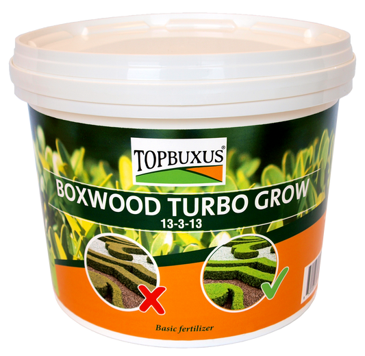 TOPBUXUS BOXWOOD TURBO GROW 10lbs