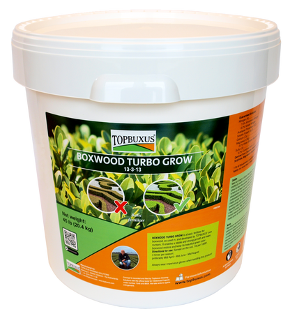 TOPBUXUS BOXWOOD TURBO GROW 45lbs