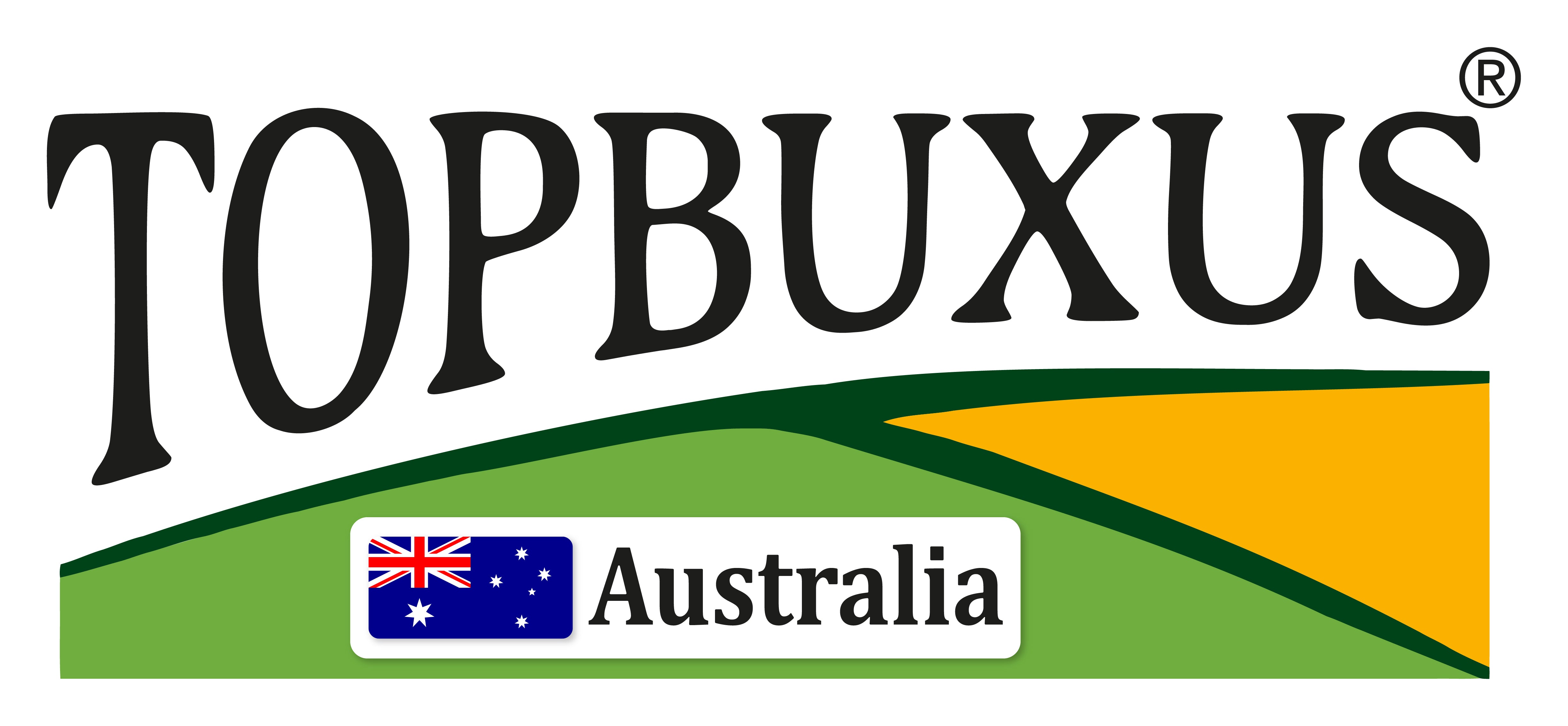 Best Buxus Fertiliser Australia | English Box | TOPBUXUS – topbuxus au