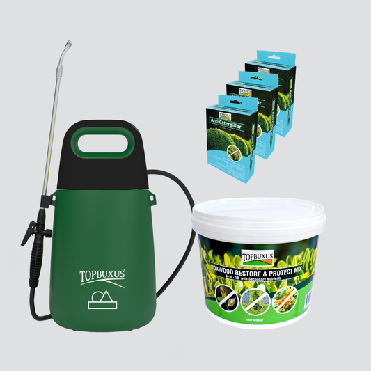 Boxwood Recovery Kit