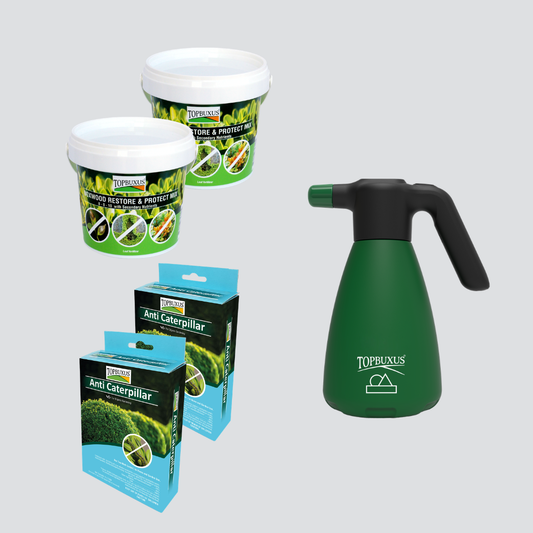 Boxwood Moth Starter Kit