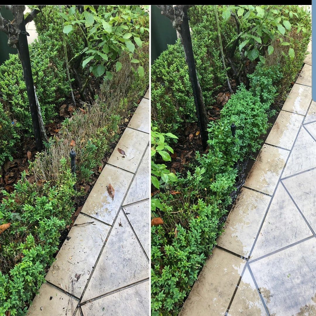 TOPBUXUS RESTORE & PROTECT 40 Applications