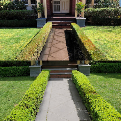 TOPBUXUS RESTORE &amp; PROTECT 40 Applications